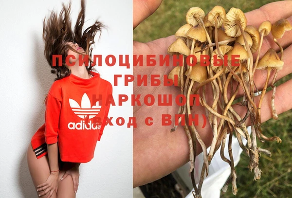 прущий лед Алзамай