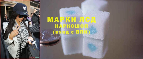прущий лед Алзамай