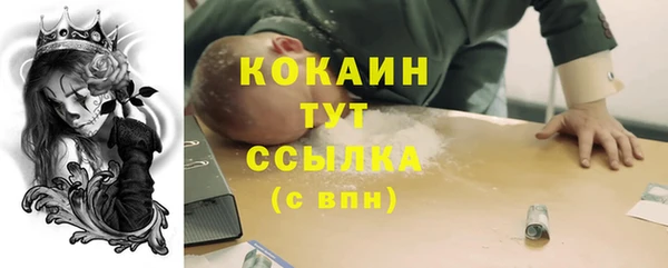 прущий лед Алзамай