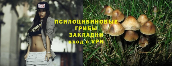 apvp Алексеевка
