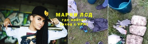 прущий лед Алзамай